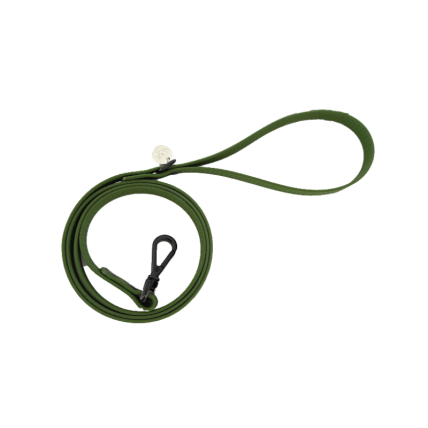 correa para perros pequeños verde