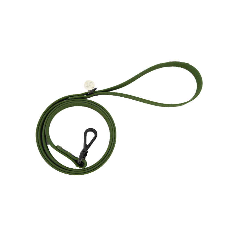 correa para perros pequeños verde