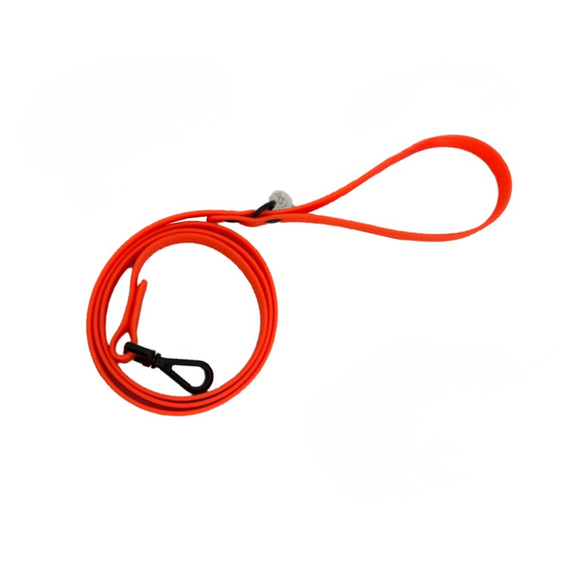 correa naranja para perros