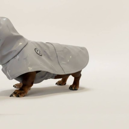 Chubasquero para perros medianos