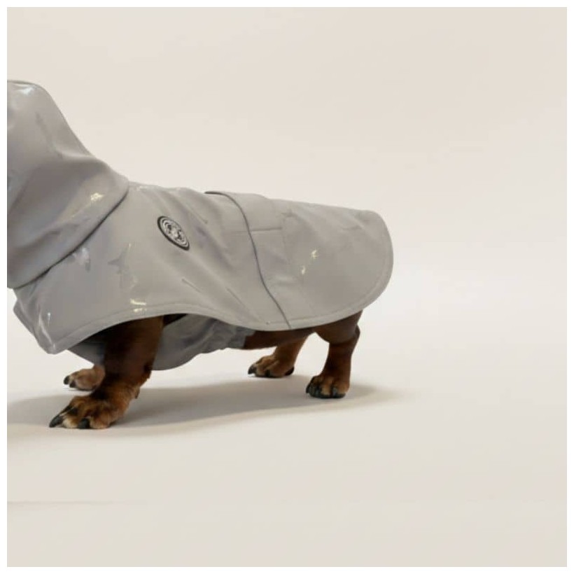 Chubasquero para perros medianos