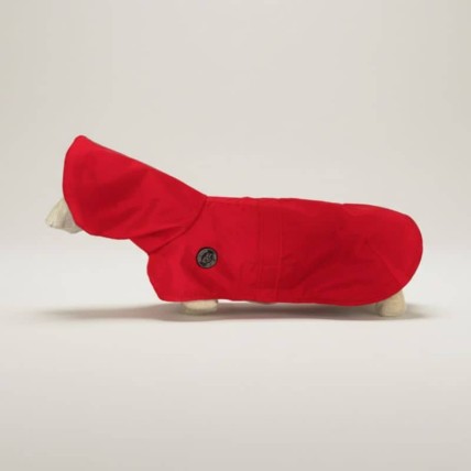 Chubasquero Tintin Air Red con capucha