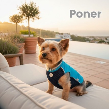 Chaleco para el calor perros