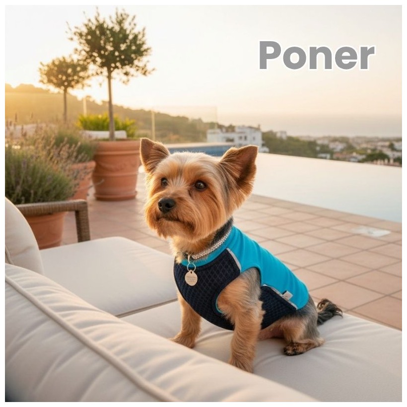 Chaleco para el calor perros