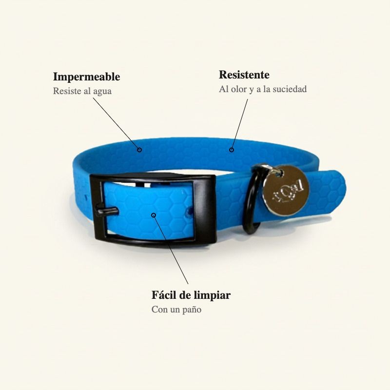 collar azul para perros