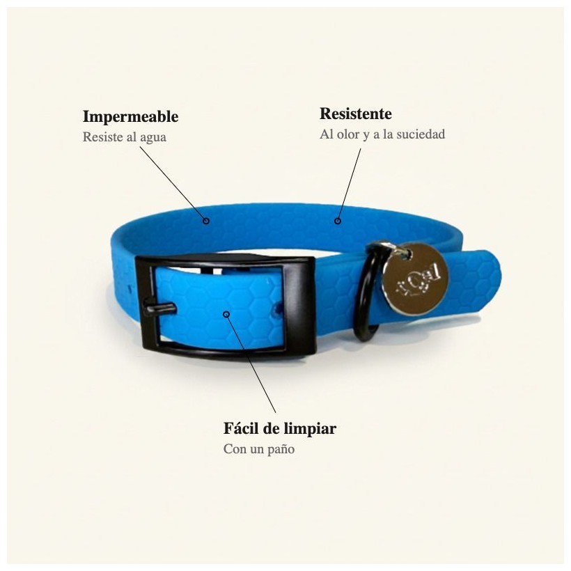 collar azul para perros