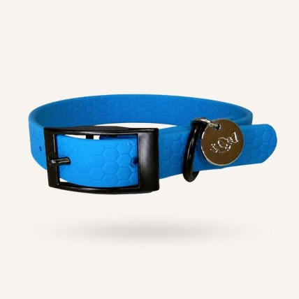 Collar resistente perro