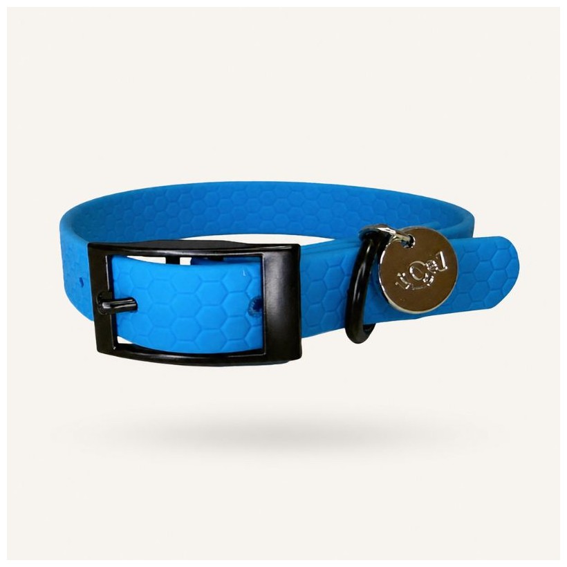 Collar resistente perro
