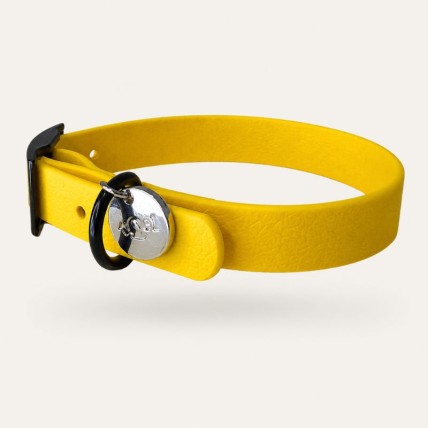 collar blandito amarillo perro