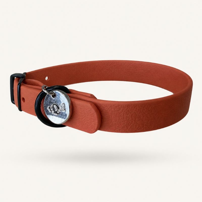 Collar impermeable barato perro