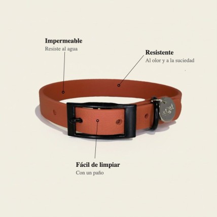 Collar para perros naranja