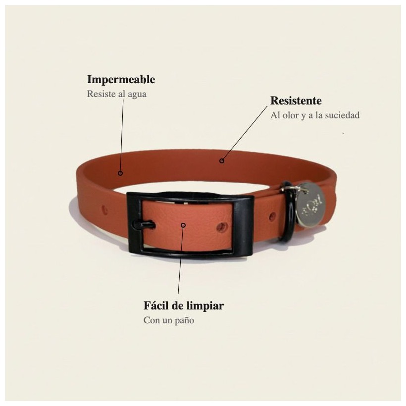 Collar para perros naranja