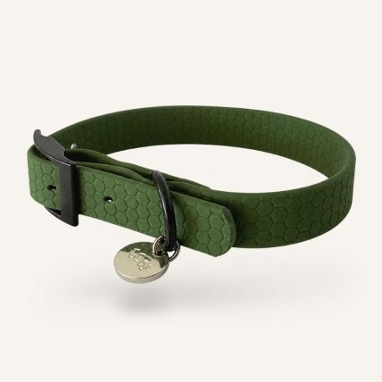 Collar para perro pequeño