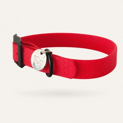 collar perro pequeño rojo