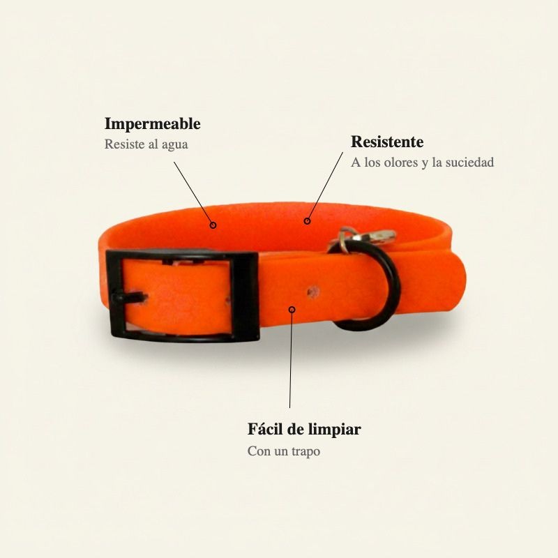 collar perro naranja