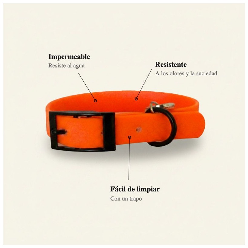 collar perro naranja