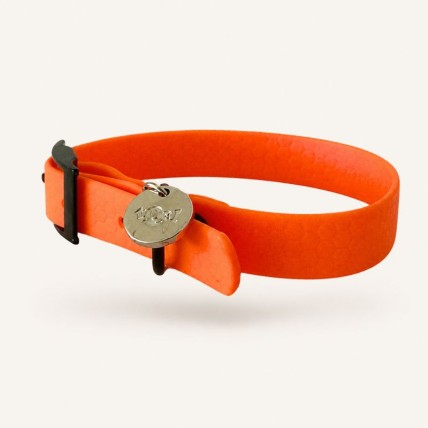 collar perro pequeño neon