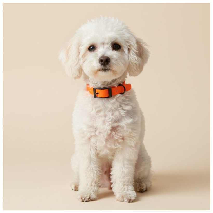 Collar para perros pequeños naranja