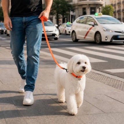 correa naranja reflectante para perros