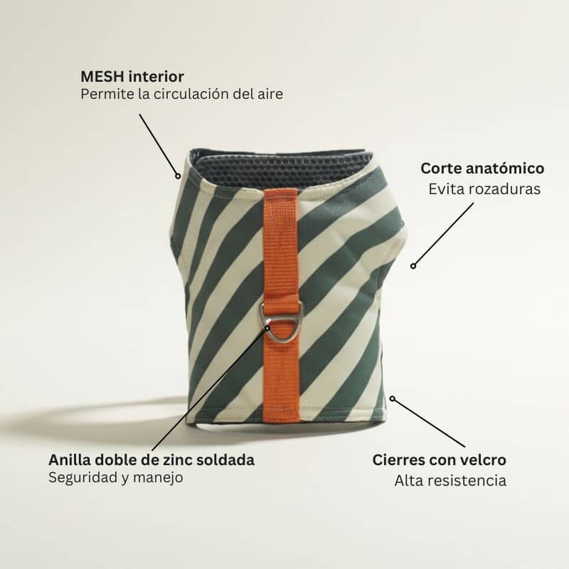 Arnés de verano para perros Lisboa