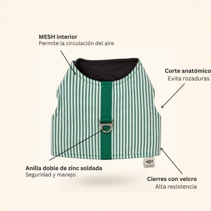 Arnés de verano Stripes Green