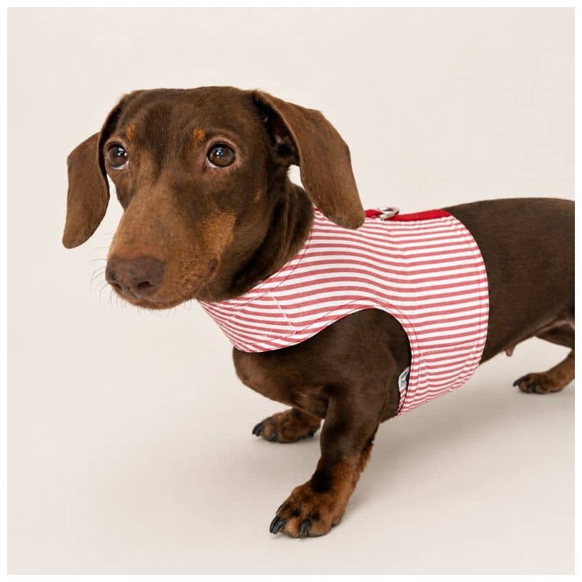 Arnés de verano Stripes Red para perros