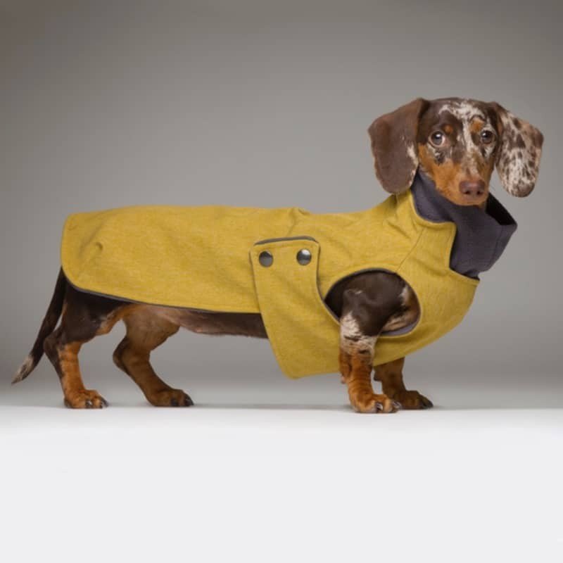 Abrigo impermeable Zermatt Mustard Abrigo impermeable Zermatt Mustard