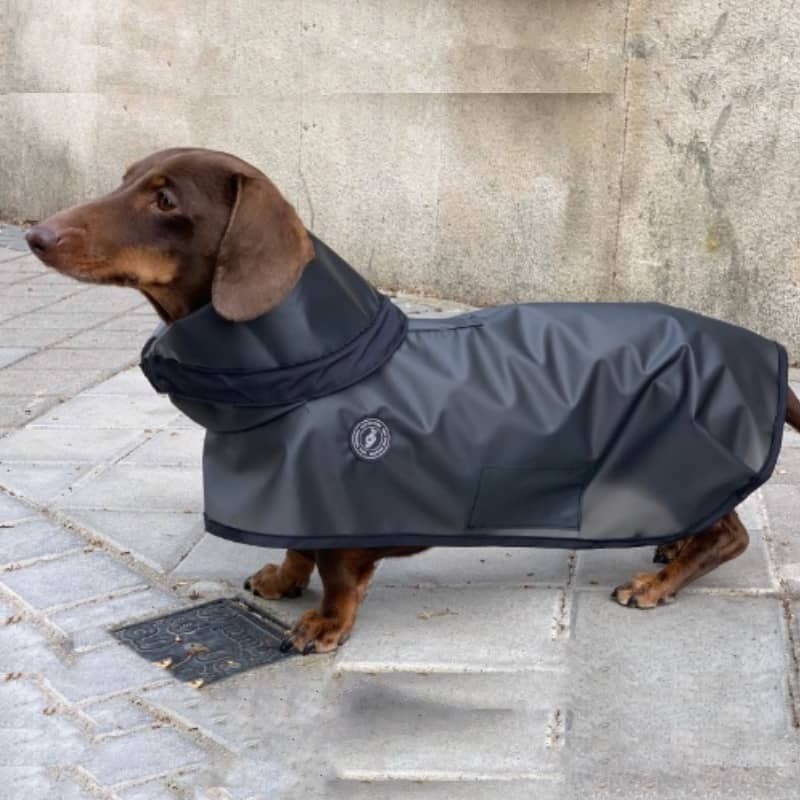 Tintin Zero Black dog raincoat