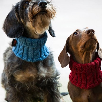 Merino Wollkragen für hunde