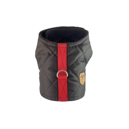 Gepolstertes Hundegeschirr Choco