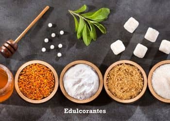 216 - Alimentos prohibidos yorkshire_1.jpg