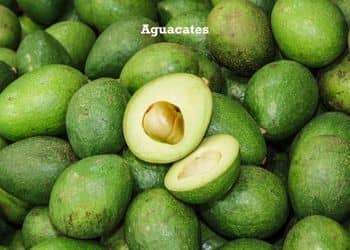 216 - Alimentos prohibidos yorkshire_3.jpg