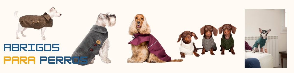 abrigos para perros pequeños