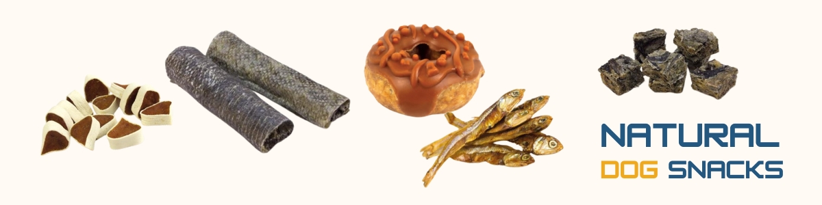 Chuches para perros pequeños