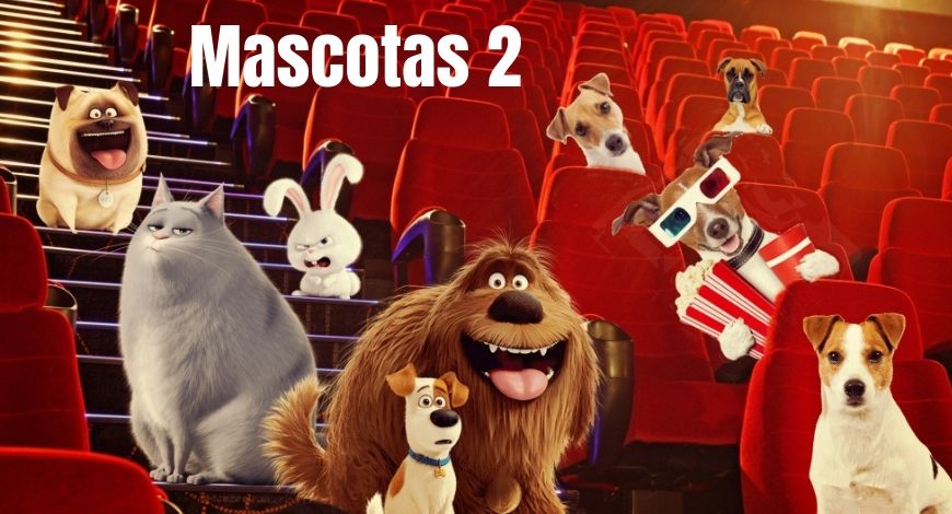 Cines para perros, una moda cada vez más frecuente en España
