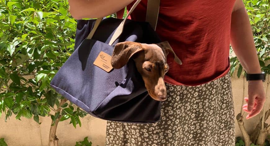 Bolso para perros: cuando la moda y la practicidad van de la mano